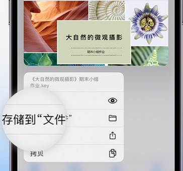 沙溪镇apple维修中心分享iPhone文件应用中存储和找到下载文件