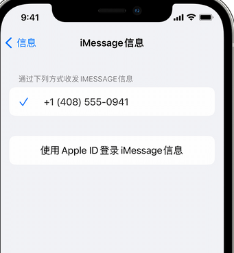 沙溪镇apple维修iPhone上无法正常发送iMessage信息 