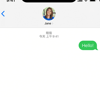 沙溪镇apple维修iPhone上无法正常发送iMessage信息