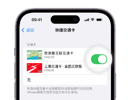 沙溪镇apple维修点分享iPhone上更换Apple Pay快捷交通卡手绘卡面 