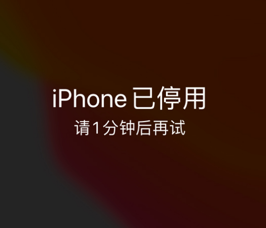 沙溪镇苹果手机维修分享:iPhone 显示“不可用”或“已停用”怎么办？还能保留数据吗？ 