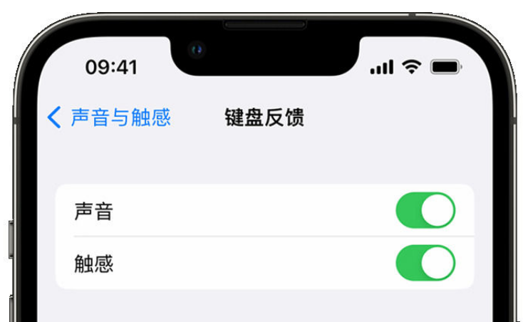 沙溪镇苹果手机维修分享iPhone 14触感键盘使用方法 