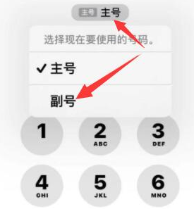 沙溪镇苹果14维修店分享iPhone 14 Pro Max使用副卡打电话的方法 