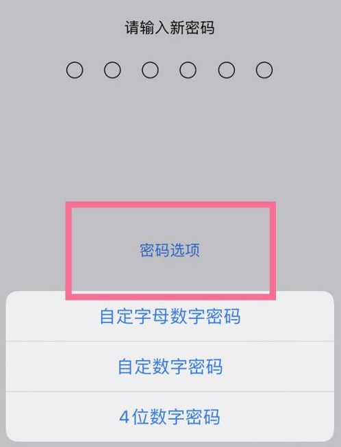 沙溪镇苹果14维修分享iPhone 14plus设置密码的方法 