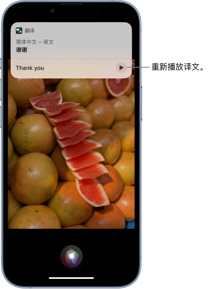 沙溪镇苹果14维修分享 iPhone 14 机型中使用 Siri：了解 Siri 能帮你做什么 