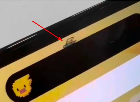沙溪镇苹果14维修分享iPhone 14 Pro Max灵动岛怎么养宠物 