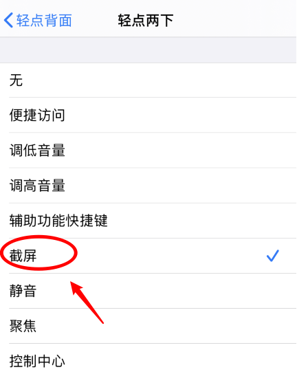沙溪镇苹果手机维修分享iPhone12如何启用双击截屏 